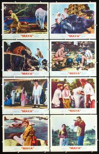 3t345 MAYA 8 movie lobby cards '66 Clint Walker & Jay North in India, white elephant, leopard!