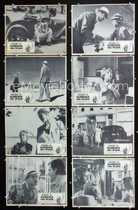 3t387 PAPER MOON 8 Mexican movie lobby cards '73 Tatum O'Neal with dad Ryan O'Neal, Madeleine Kahn