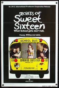 3u509 SECRETS OF SWEET SIXTEEN one-sheet '73 what young, willing and able school girls don't tell!