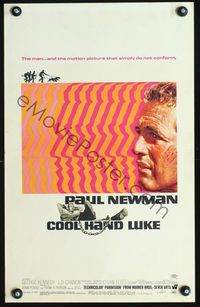 3v033 COOL HAND LUKE window card '67 Paul Newman prison escape classic, cool art by James Bama!