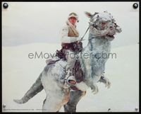 3w082 EMPIRE STRIKES BACK color 16x20 still '80 great c/u of Mark Hamill in snow riding on creature!