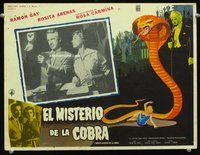 3w391 EL MISTERIO DE LA COBRA Mexican movie lobby card '60 Ramon Gay, cool giant snake border art!