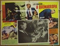 3w650 POINT BLANK Mexican LC R1970s close up of Lee Marvin fighting, John Boorman film noir!