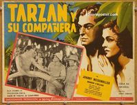 3w765 TARZAN & HIS MATE Mexican lobby card R50s cool art of Johnny Weissmuller & Maureen O'Sullivan!