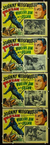 3w179 JUNGLE MAN-EATERS 4 Mexican LCs '54 Johnny Weissmuller as Jungle Jim, cool panther art!