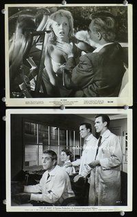 3y246 4D MAN 2 8x10s '59 Robert Strauss, Lee Meriwether & James Congdon watch experiment gone wrong!