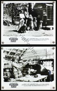 3y257 ADVENTURES OF THE WILDERNESS FAMILY 2 8x10 stills '75 cool images of family living w/bear!