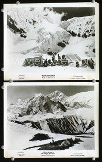 3y271 ANNAPURNA 2 8x10 movie stills '53 great images from Himalaya climbing adventure documentary!
