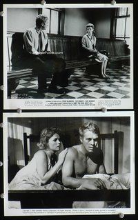 3y284 BABY THE RAIN MUST FALL 2 8x10 movie stills '65 cool images of Steve McQueen w/Lee Remick!