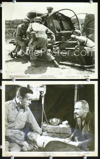 3y296 BATTLE CIRCUS 2 8x10 stills '53 great images of Humphrey Bogart w/helicopter & wounded kid!