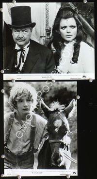 3y322 BLACK BEAUTY 2 8x10 movie stills '71 Mark Lester w/pony & Walter Slezak w/Ursula Glass!