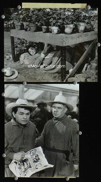 3y340 BROTHER ORCHID 2 7.5x9.75 movie stills '40 great images of Edward G. Robinson as monk!