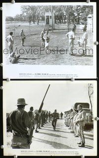 3y371 COOL HAND LUKE 2 8x10 movie stills '67 two great images from Paul Newman classic!