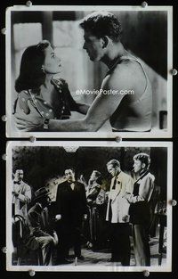 3y374 CRISS CROSS 2 8x10 movie stills '48 close-up of Burt Lancaster, Yvonne De Carlo, film noir!