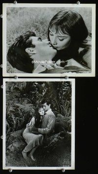3y457 GREEN MANSIONS 2 8x10s '59 great close-up of pretty Audrey Hepburn kissing Anthony Perkins!