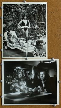 3y467 HAMMERSMITH IS OUT 2 8x10 stills '72 two cool images of Elizabeth Taylor one w/Robert Burton!