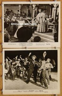 3y627 OKLAHOMA 2 8x10 movie stills '56 Gordon MacRae, Shirley Jones, Rodgers & Hammerstein musical!