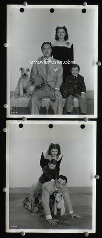 3y746 SHADOW OF THE THIN MAN 2 key book movie stills '41 cool images of William Powell, Myrna Loy!
