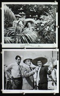 3y913 VIVA ZAPATA 2 8x10 movie stills '52 two great images of Marlon Brando in the title role!