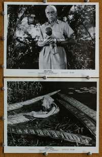 3y916 VOODOO ISLAND 2 8x10 stills '57 Boris Karloff, wild image of girl being attacked by plants!
