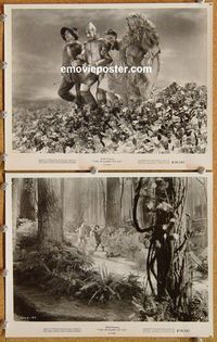 3y971 WIZARD OF OZ 2 8x10 movie stills R70 two great images of cast from all-time classic!