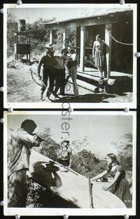 3y986 YOUNG ONE 2 8x10 movie stills '60 Luis Bunuel vs Mexican racism, images of violence!
