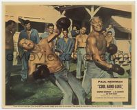 3y052 COOL HAND LUKE English FOH LC '67 Paul Newman refuses to give up while boxing Kennedy!