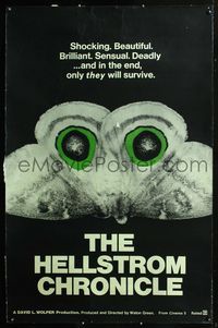 4a334 HELLSTROM CHRONICLE 40x60 poster '71 cool huge moth close up image, only THEY will survive!
