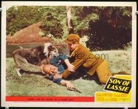 4c761 SON OF LASSIE movie lobby card #5 '45 Peter Lawford & border collie attack badguy!