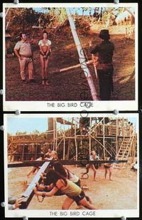 4e231 BIG BIRD CAGE 2 Middle Eastern 8x10 movie stills '72 images of chained women as slaves!