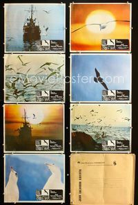 4e919 JONATHAN LIVINGSTON SEAGULL 7 Mexican lobby cards '73 Richard Bach, cool images of birds!