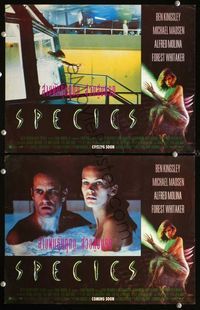 4e208 SPECIES 2 advance Thai movie lobby cards '95 Natasha Henstridge sexy sci-fi!