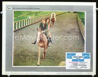 4f409 ARABESQUE movie lobby card #1 '66 Gregory Peck & Sophia Loren riding on horseback together!