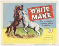 4f355 WHITE MANE title card '54 cool image of brown & white majestic wild stallions fighting!