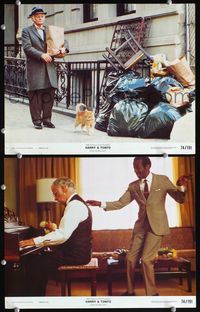 4g304 HARRY & TONTO 2 color 11x14 movie stills '74 Paul Mazursky directed, Art Carney walking a cat!