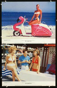 4g242 FLAMINGO KID 2 movie lobby cards '84 great images of young Matt Dillon & sexy Janet Jones!