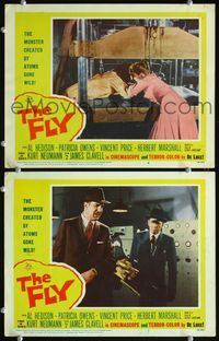 4g249 FLY 2 movie lobby cards '58 classic sci-fi, image of Vincent Price, Patricia Owens!