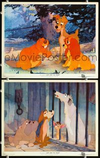 4g412 LADY & THE TRAMP 2 movie lobby cards '55 Walt Disney romantic canine classic cartoon!