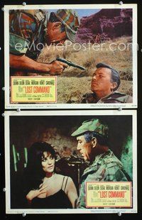 4g444 LOST COMMAND 2 movie lobby cards '66 Anthony Quinn w/sexy Claudia Cardinale!