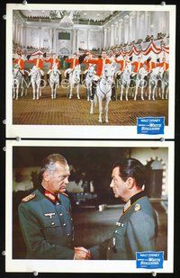 4g508 MIRACLE OF THE WHITE STALLIONS 2 lobby cards '63 Robert Taylor, row of Lipizzaner horses!