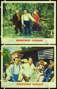 4g629 RAINTREE COUNTY 2 movie lobby cards '57 Montgomery Clift & Eva Marie Saint in forest!