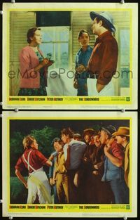 4g760 SUNDOWNERS 2 movie lobby cards '61 Deborah Kerr slapping drunk Robert Mitchum, horse racing!