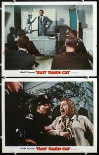 4g787 THAT DARN CAT 2 movie lobby cards R70s Dean Jones holding briefing on Siamese cat!