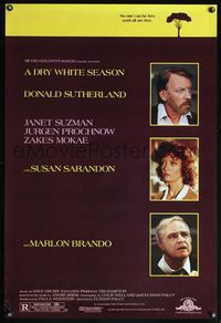 4m443 DRY WHITE SEASON 1sh '89 portraits of Donald Sutherland, Marlon Brando, & Susan Sarandon!
