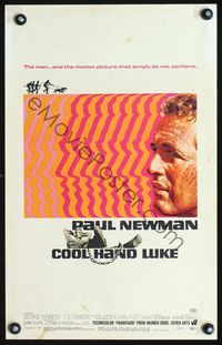 4s077 COOL HAND LUKE WC '67 Paul Newman prison escape classic, cool art by James Bama!