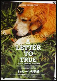 4v272 LETTER TO TRUE Japanese '05 cute image of dog laying in grass w/butterflies!