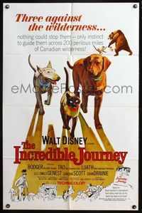 4y406 INCREDIBLE JOURNEY 1sh '63 great adventure art of Walt Disney animals!