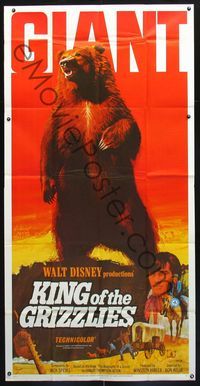5b225 KING OF THE GRIZZLIES 3sh '70 Walt Disney, half a ton of giant fury, ruler of the Rockies!
