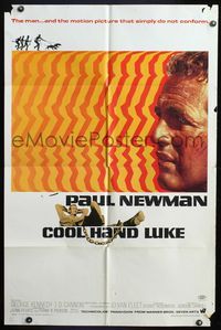 5e157 COOL HAND LUKE 1sh '67 Paul Newman prison escape classic, cool art by James Bama!