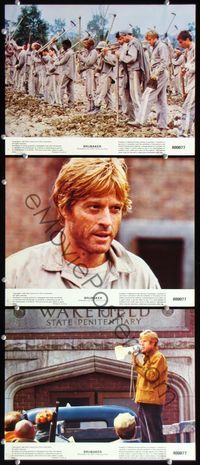 5g413 BRUBAKER 3 color 11x14s '80 warden Robert Redford is the most wanted man in Wakefield prison!
